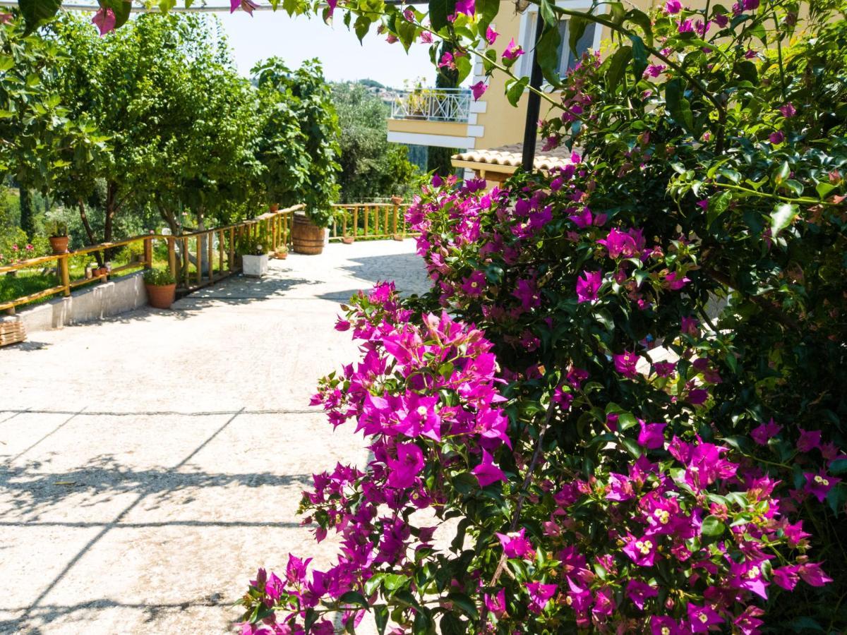 Linda House Corfu Appartement Gastouri (Corfu)